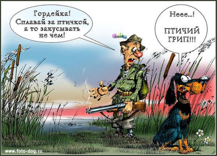 Анекдоты про охоту