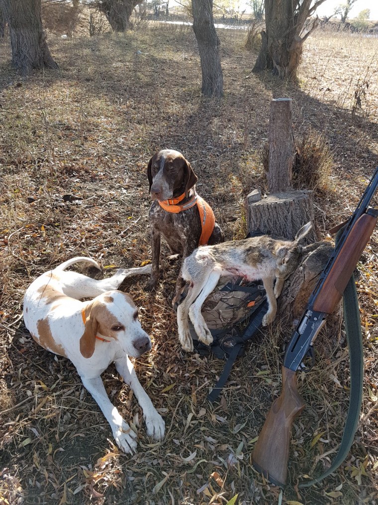 Охотники мультяшные