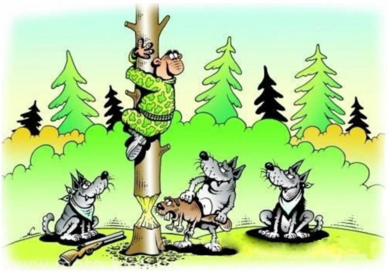 Открытие сезона охоты