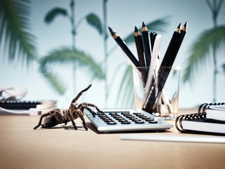 Рабочий стол бухгалтера