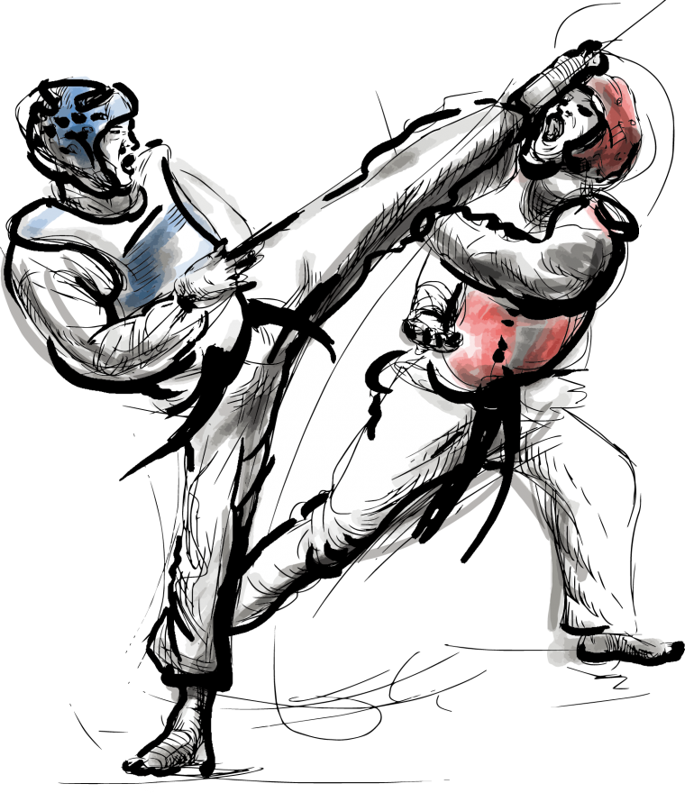 Каратист силуэт