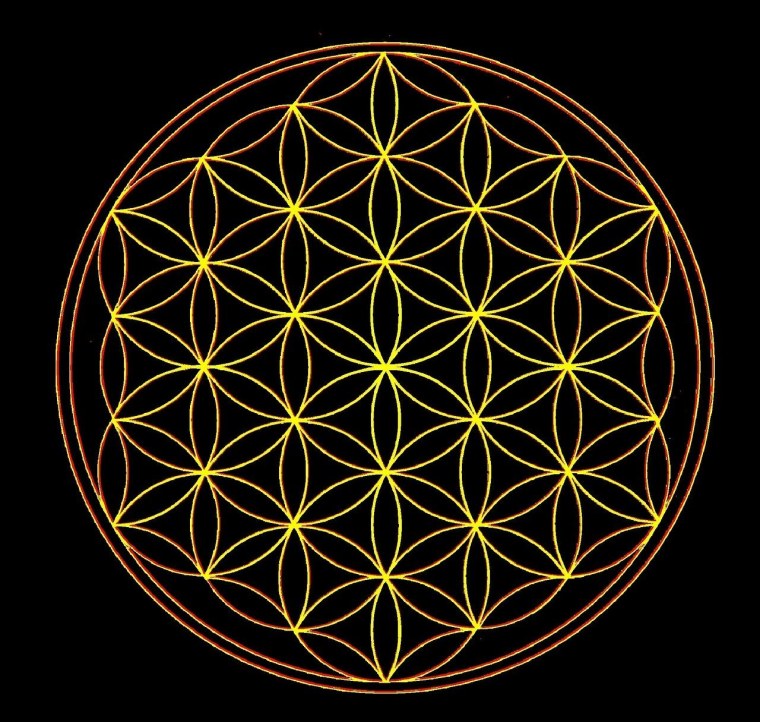 Сакральная геометрия в природе