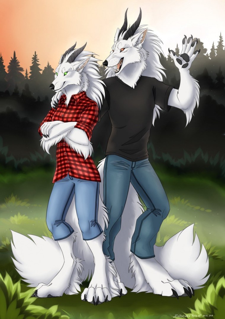 Фурри белый волк арт