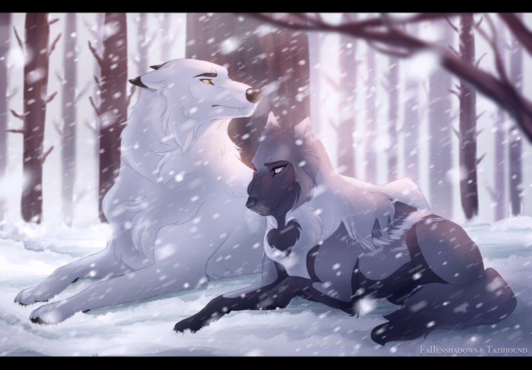 Белый волк Tazihound