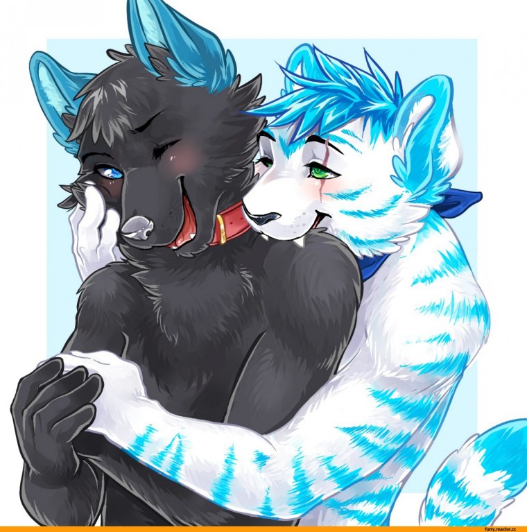 Фурри обнимашки