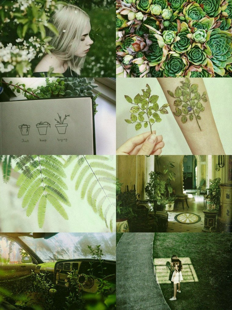 Witch aesthetic травы