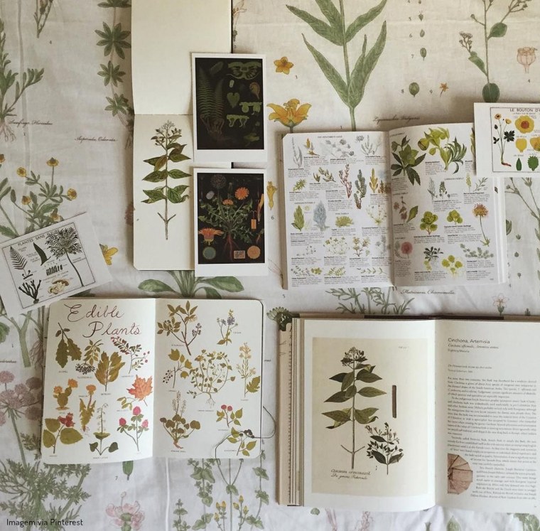 Witch aesthetic травы