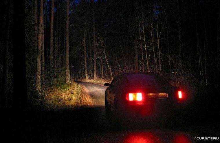 Лес дорога машина ночь