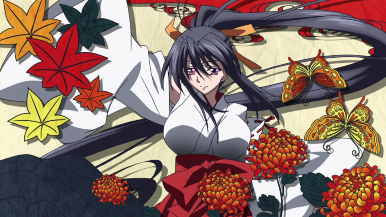 Аниме High School DXD