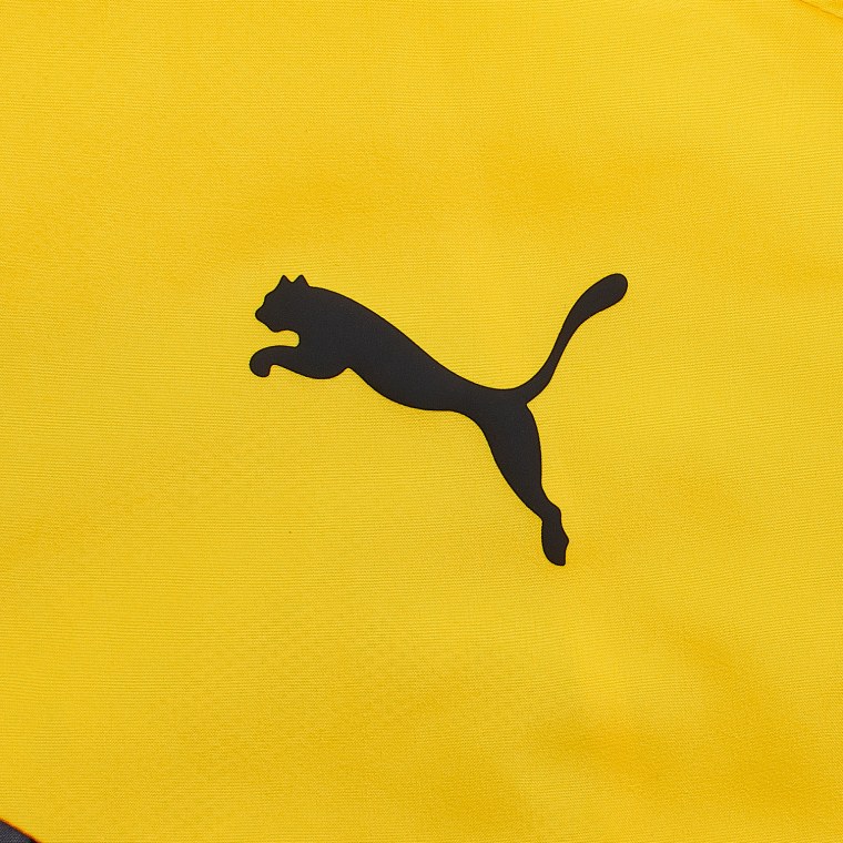 Пума бренд логотип