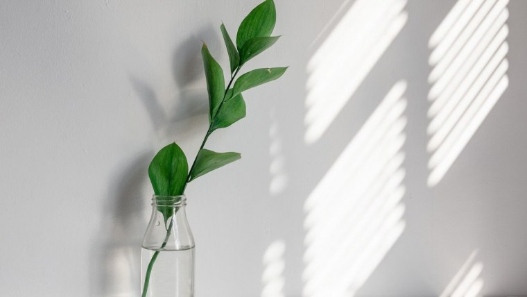 Обои на стену