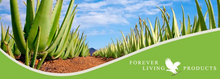 Эстетический Минимализм обои