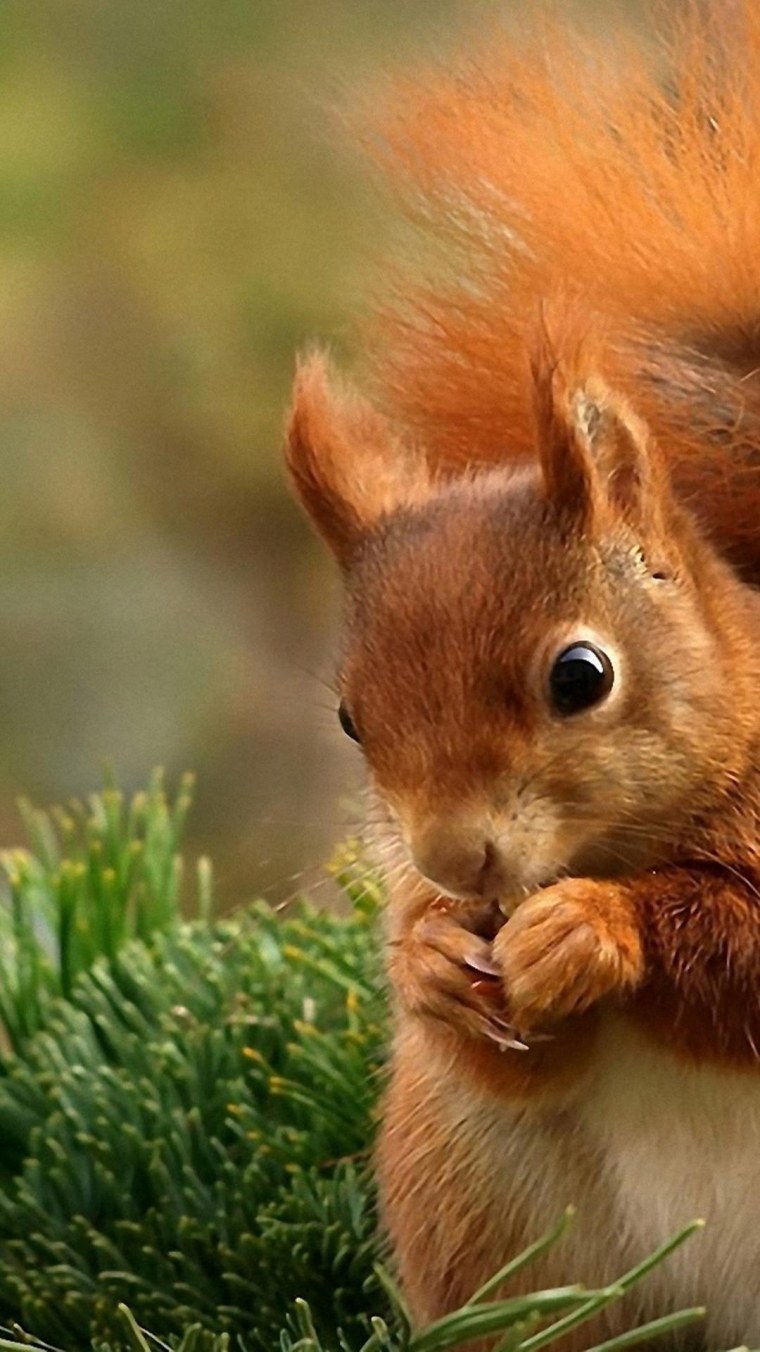 Сергей Полюшко фотограф