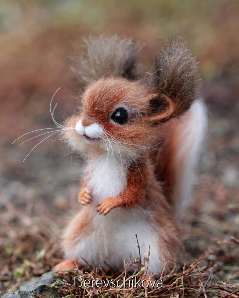 Белка умывается