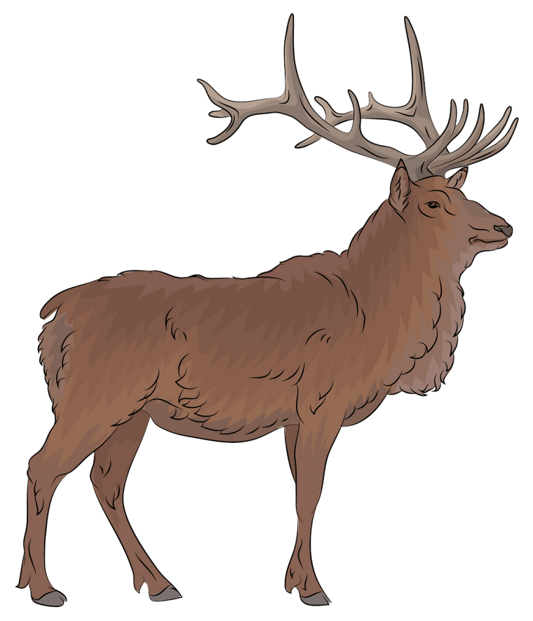 Лось 3ds Max tif