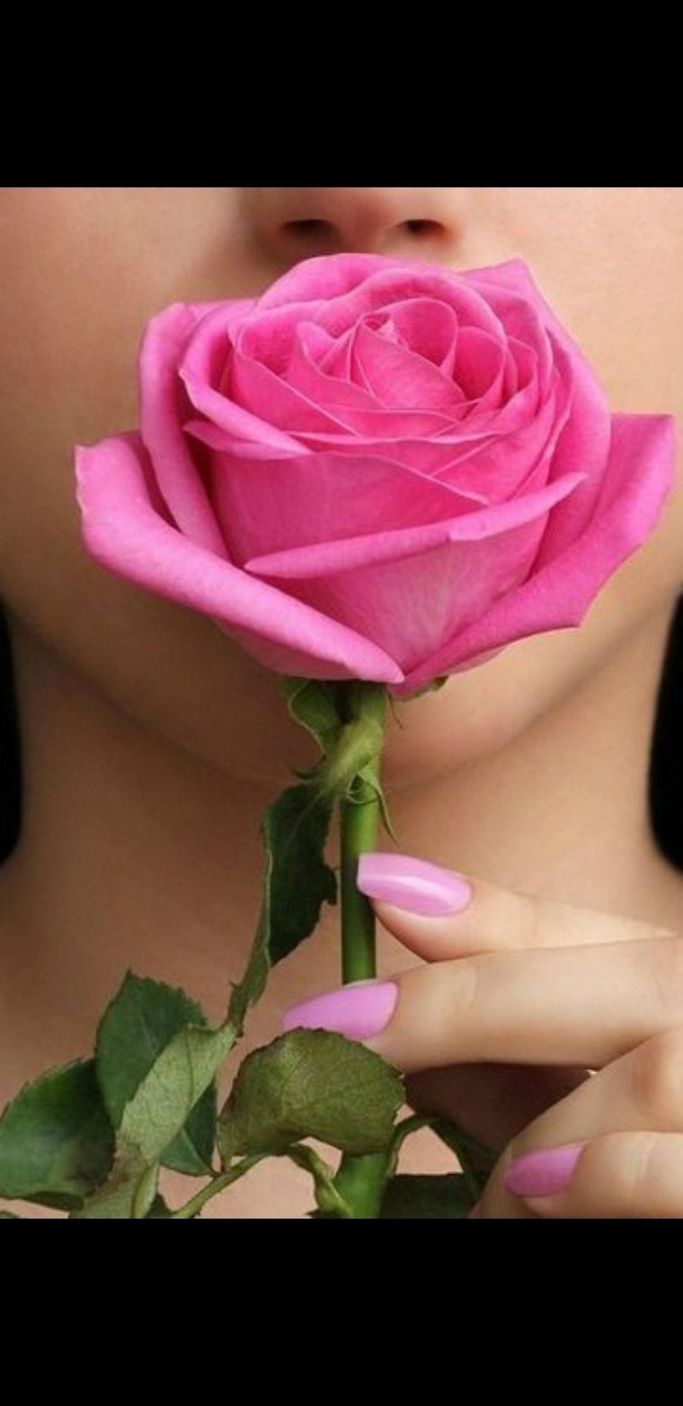 Картинки на аву цветы