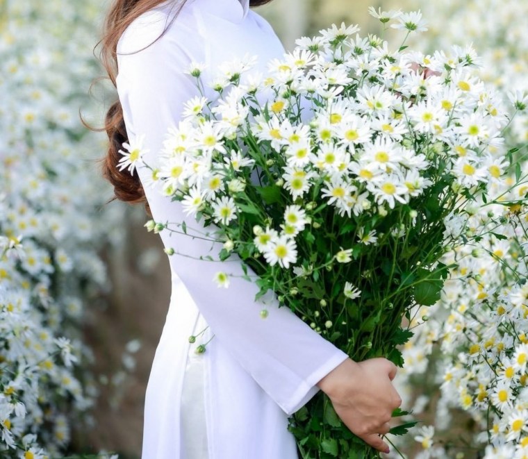 Ромашки на голубом небе