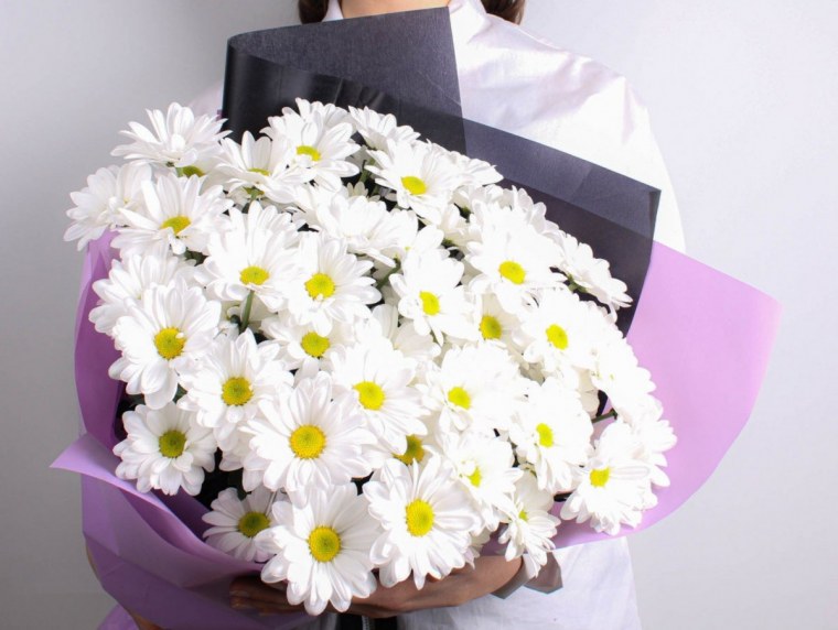 Ромашки Эстетика