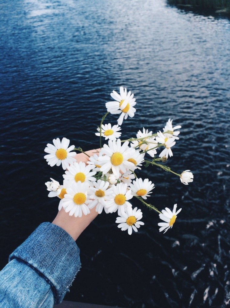 Ромашка в ладошке