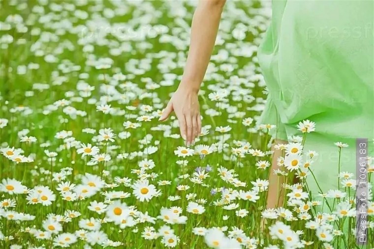 Девушка с ромашками