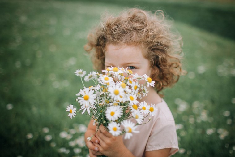 Букет полевых цветов в руках