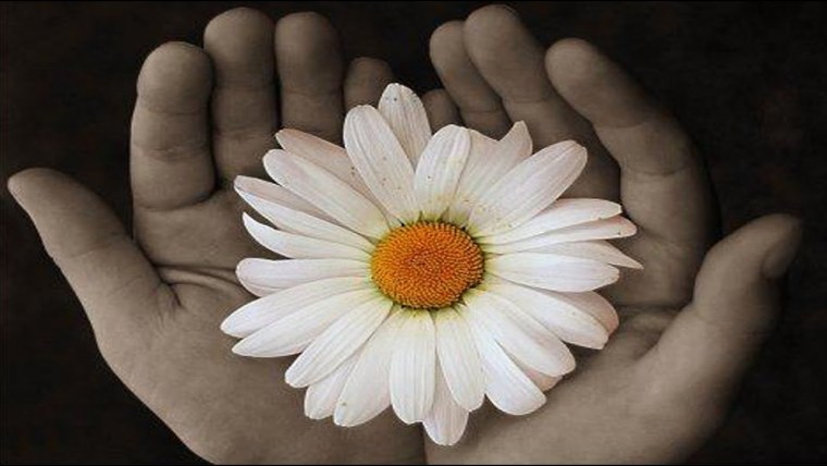 Мелкие ромашки букет