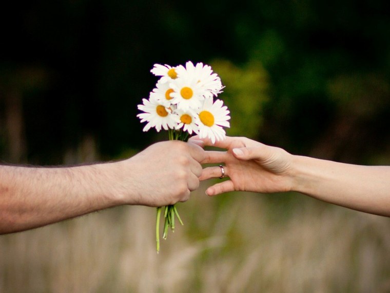 Охапка ромашек в руках