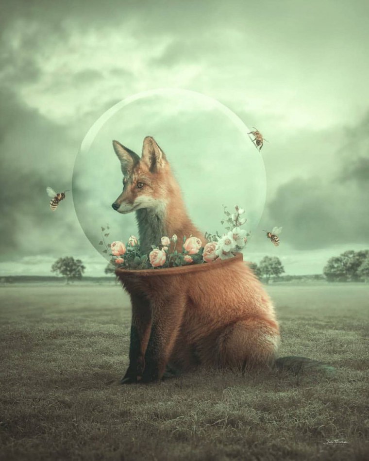 Доброе утро сюрреализм