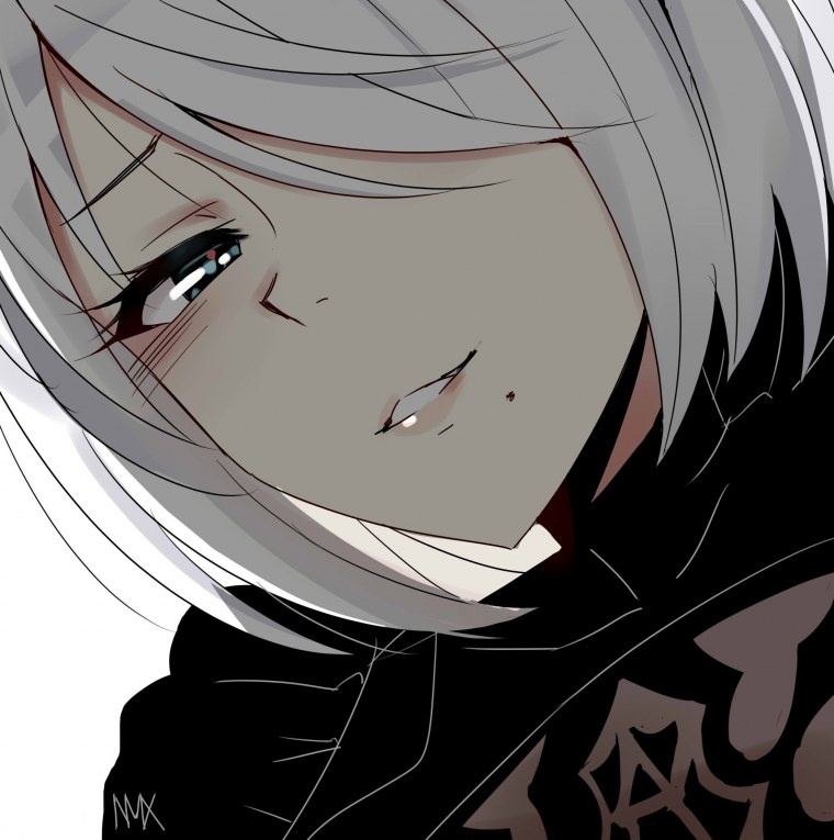 Anime avatar NIER