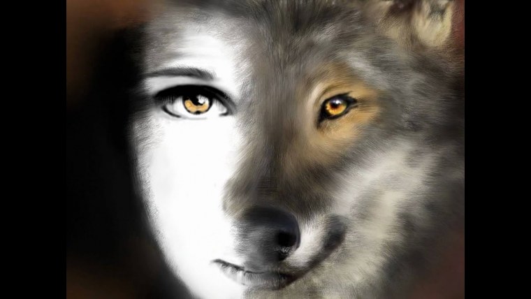 Глаза волка у человека