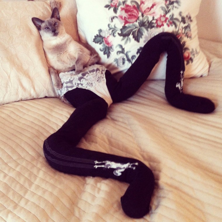 Лиза Томс фантастические животные