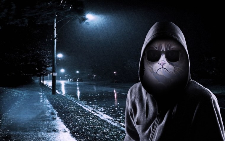 Чел в капюшоне