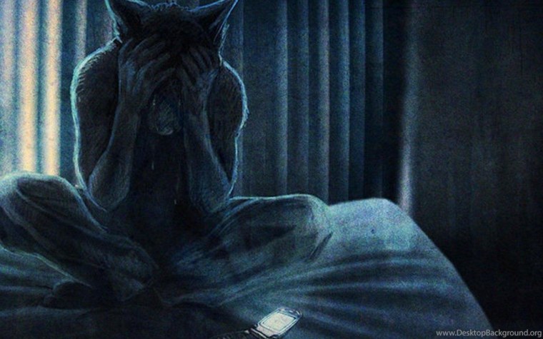 Кот в одеяле на скамейке