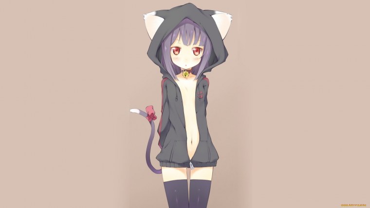 Аниме девушки с ушками на рабочий стол