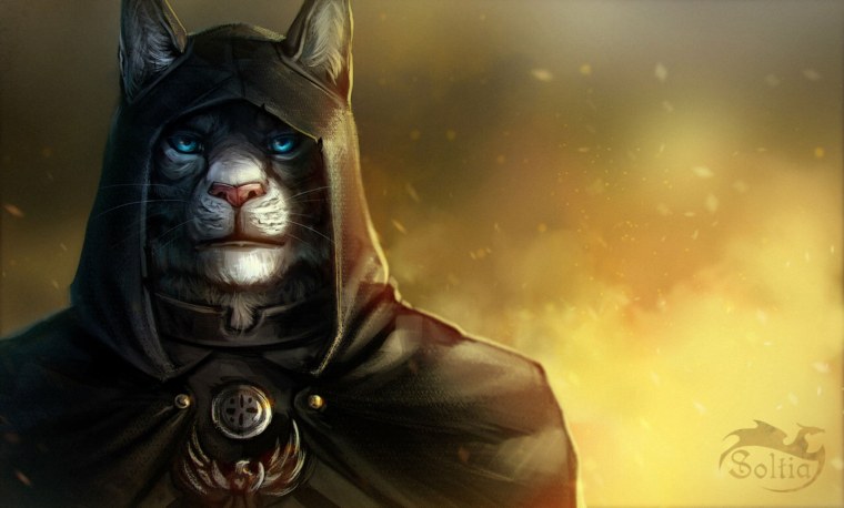 Каджит маг арт