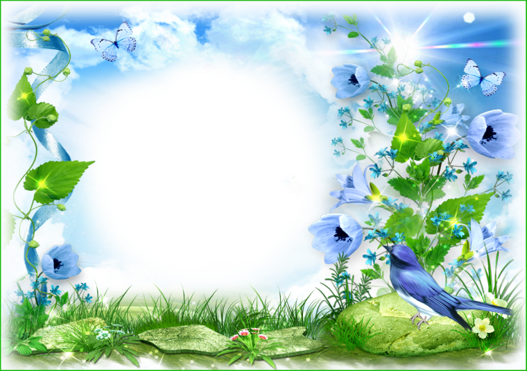 Анимация цветы и бабочки