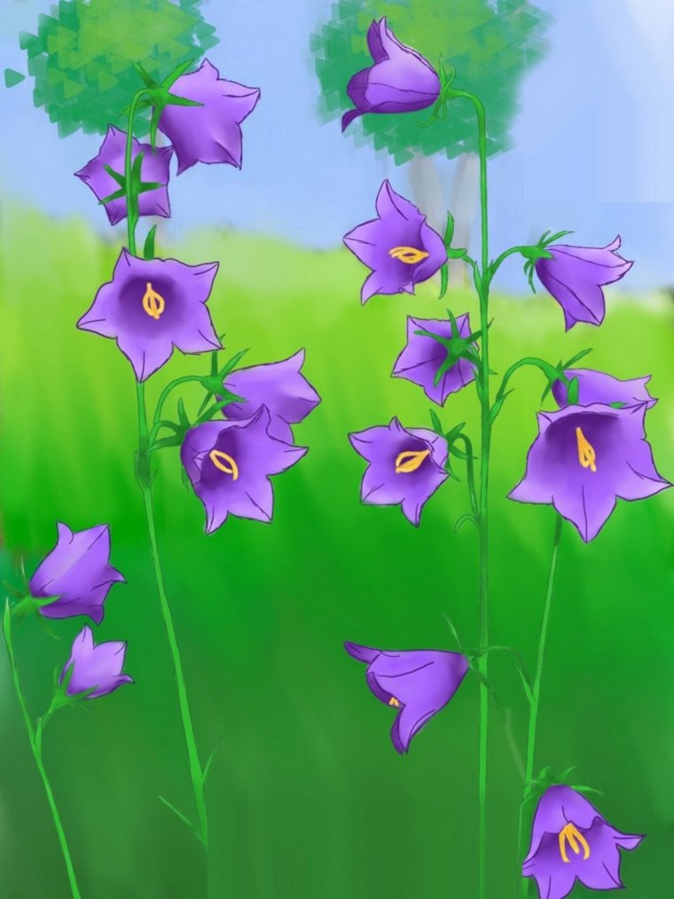 Детский сад колокольчик