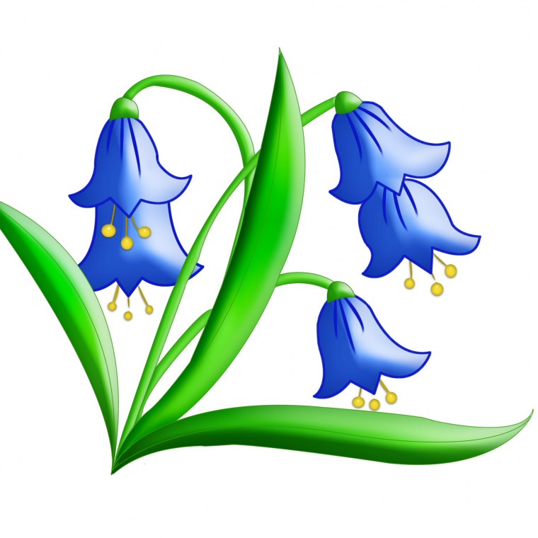 Фон колокольчики