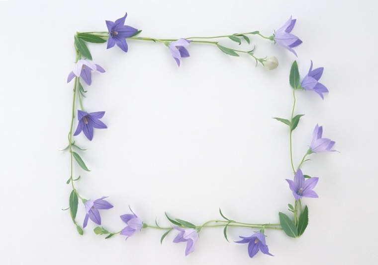 Цветочная рамка