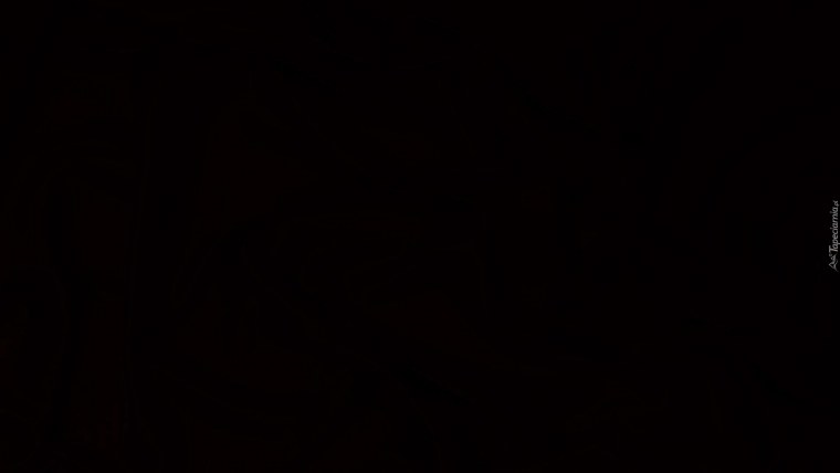 Черный цвет 000000