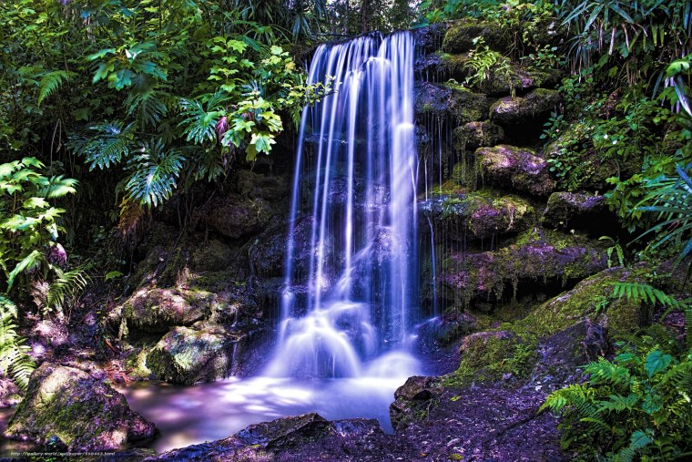 Водопады цветы лес