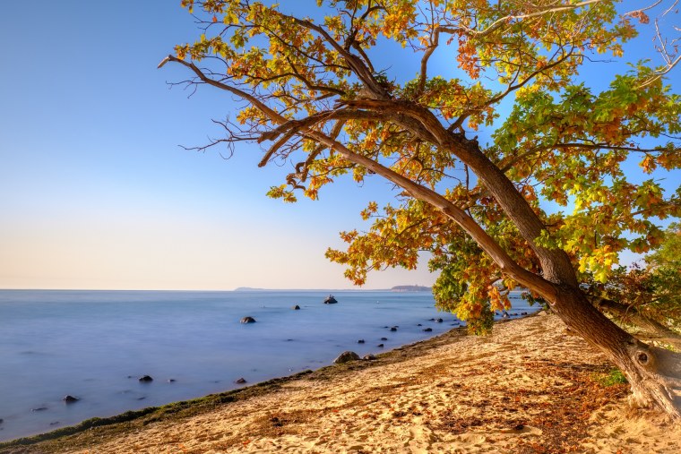 Япония Фудзияма осень