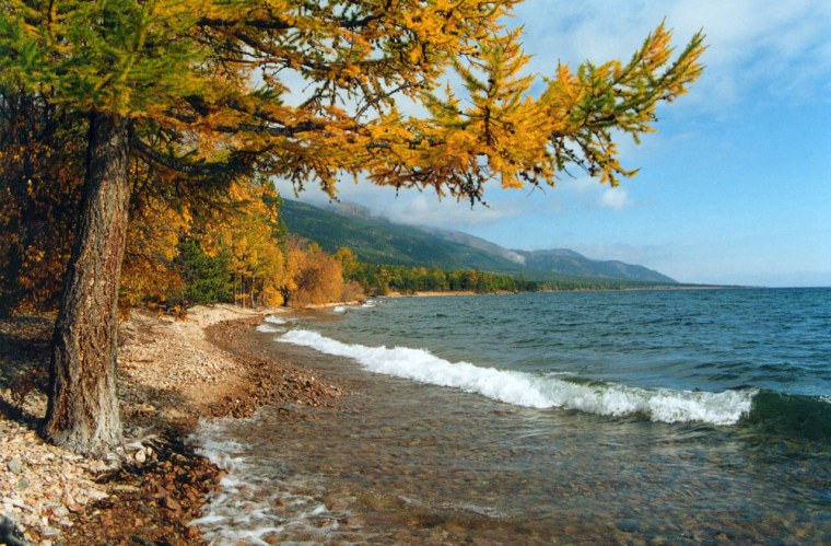 Столик в лесу