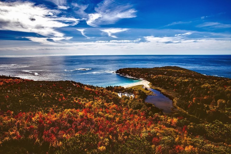 Осенние листья на берегу