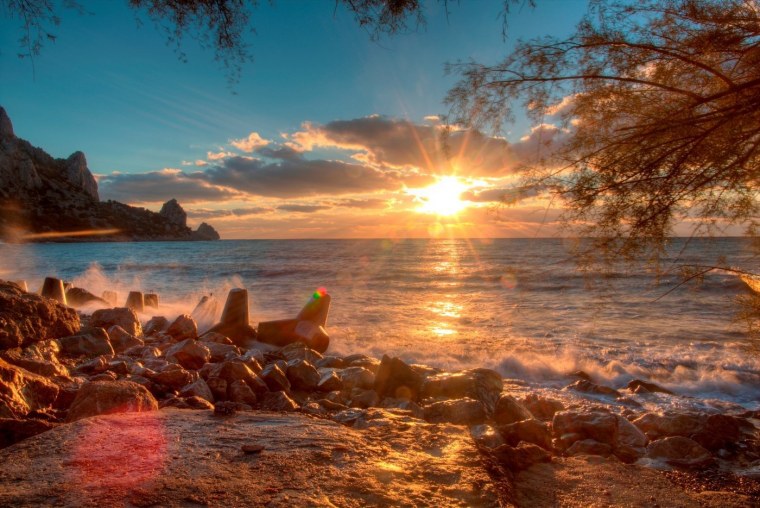 Тропический пейзаж