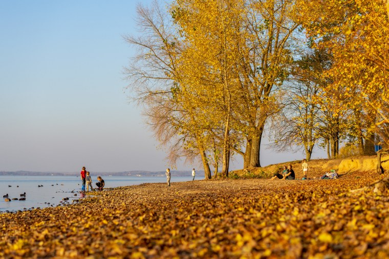 Сопки Приморского края осень