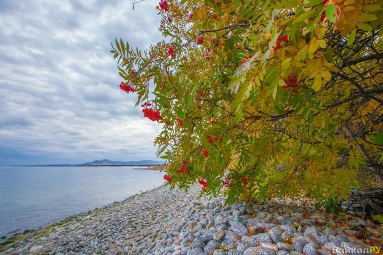 Осеннее море