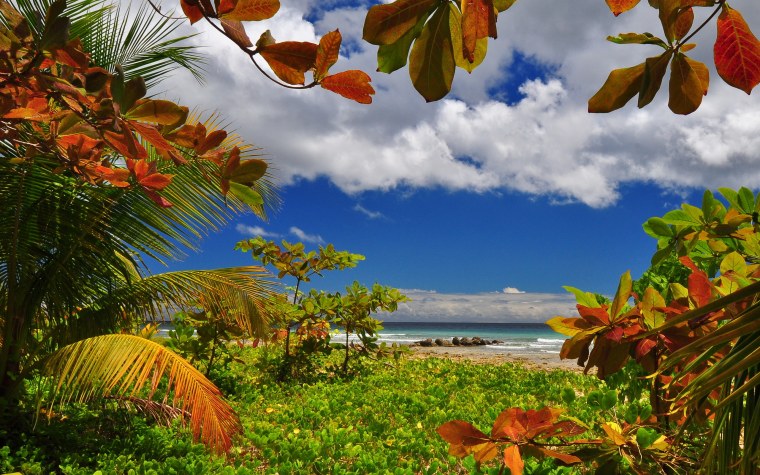 Осеннее море