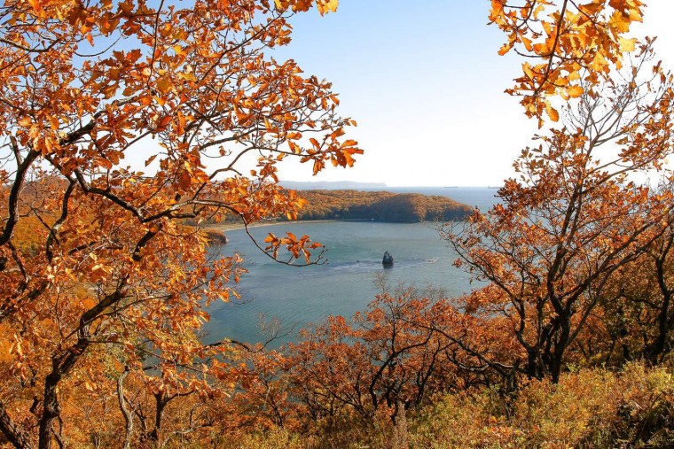 Балтийски осен Калининградская область море