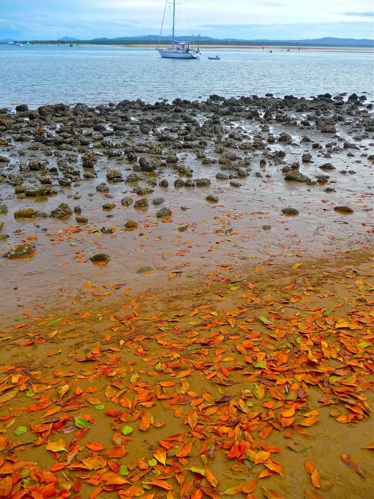 Красивое осеннее море